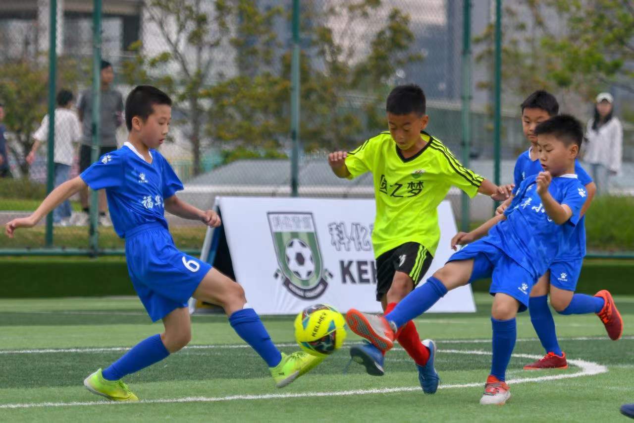 组织所面临 组织所面临